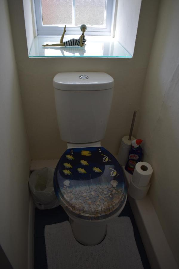 Froglets Apartment Tregoney Ngoại thất bức ảnh